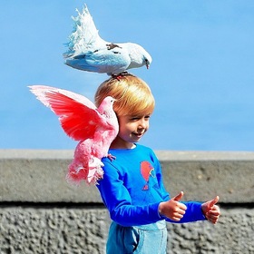 Мальчик и цветные голуби...